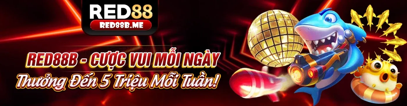 Đá gà Thabet kịch tính